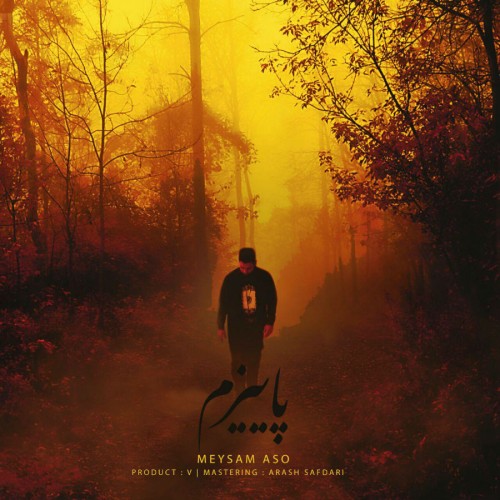 آهنگ پاییزم از میثم ئاسو