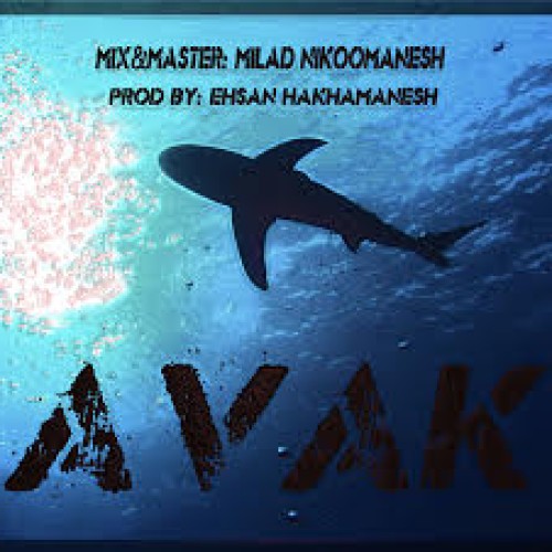 آهنگ جدید آواک به نام کوسه