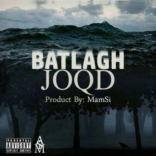 موزیک باتلاق از جغد