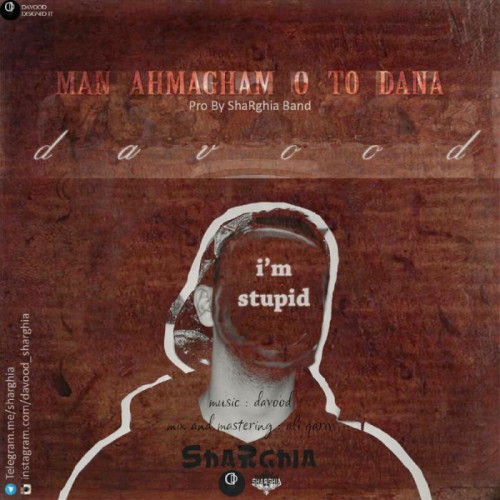 آهنگ من احمقم و تو دانا از داوود