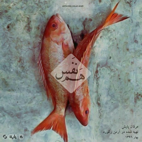 آهنگ هم نفس از عرفان پایش