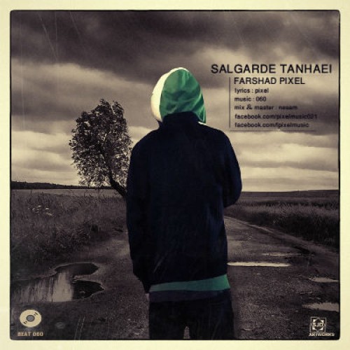 آهنگ جدید فرشاد پیکسل به نام سالگرد تنهایی
