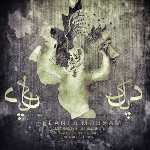 آهنگ دل پاک از فلانی و مبهم