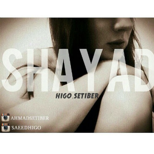 آهنگ جدید هیگو و ستیبر بنام شاید