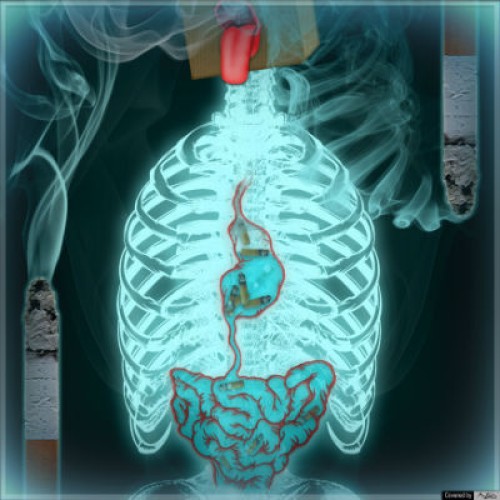 آهنگ جدید کیان به نام تمرین