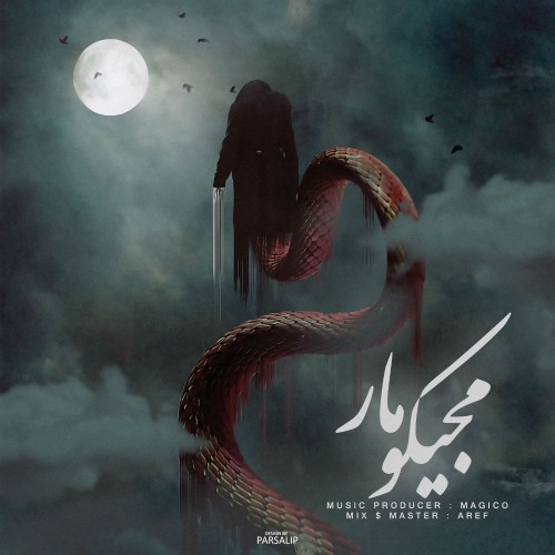 آهنگ مار از مجیکو