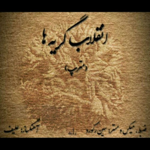آلبوم انقلاب گریه ها از مترپ