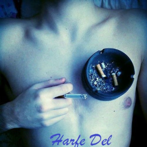 آهنگ جدید مهدی و نیما S به نام حرف دل