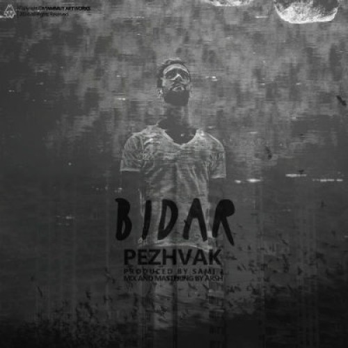 آهنگ جدید مهدی پژواک به نام بیدار