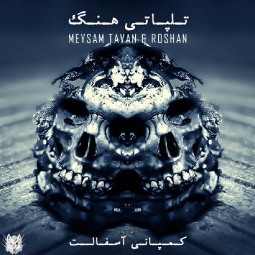 آهنگ جدید میثم تاوان و روشن بنام تلپاتی هنگ