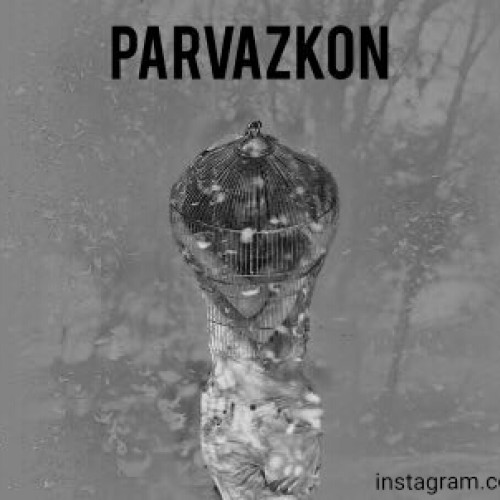 آهنگ پرواز کن از مفرد