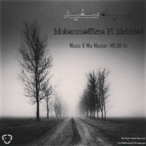 آهنگ جدید محمدرضا و مهرداد به نام سیاه سفید