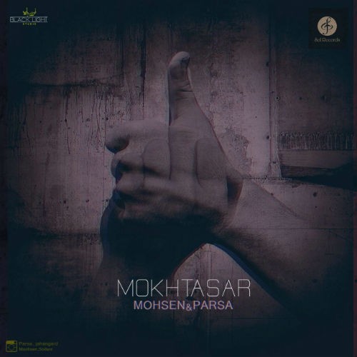 آهنگ مختصر از محسن و پارسا