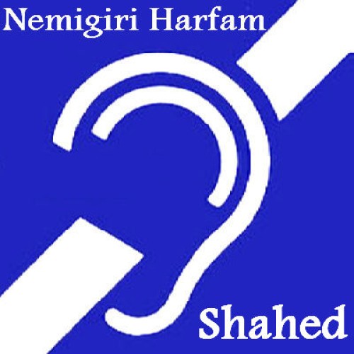 آهنگ جدید شاهد به نام نمیگیری حرفام