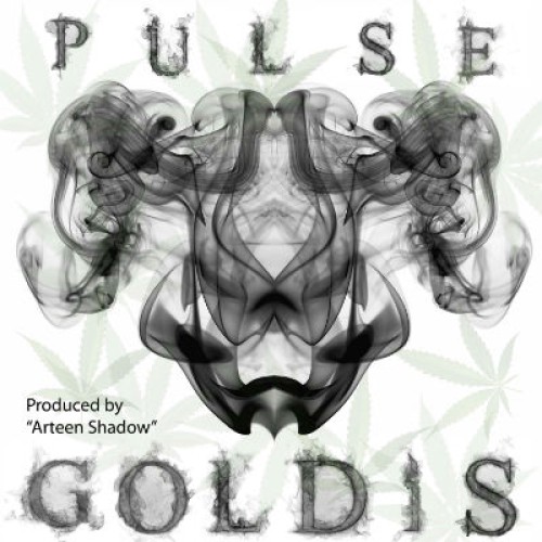 آهنگ جدید سروش پالس به نام گلدیس