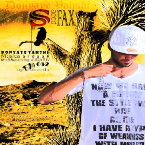 آهنگ جدید سعید فکس به نام دنیای وحشی