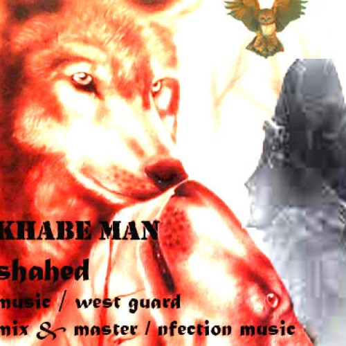 آهنگ جدید شاهد به نام خواب من