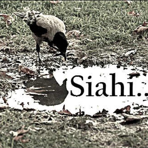 آهنگ جدید آرش سیاهی به نام بچه شهرک