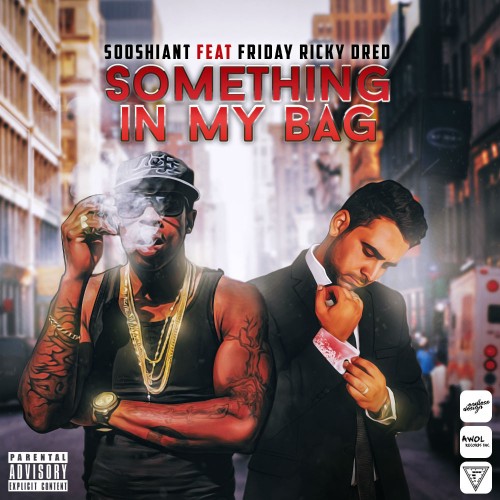 Something In My Bag از سوشیانت و Ricky Dred