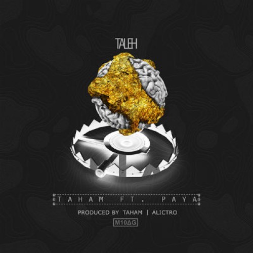 آهنگ جدید تهم و پایا به نام تله