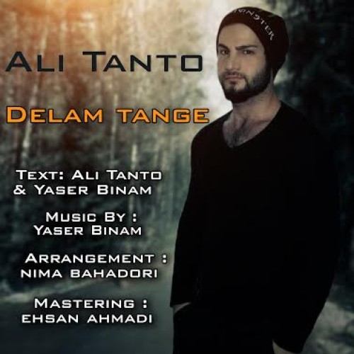 آهنگ جدید علی تنتو به نام دلم تنگه