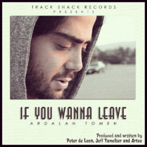 آهنگ جدید اردلان طعمه به نام If You Wanna Leave