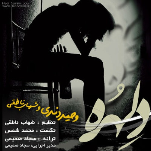 آهنگ جدید وحید دندی و شهاب ناطقی بنام دلهره