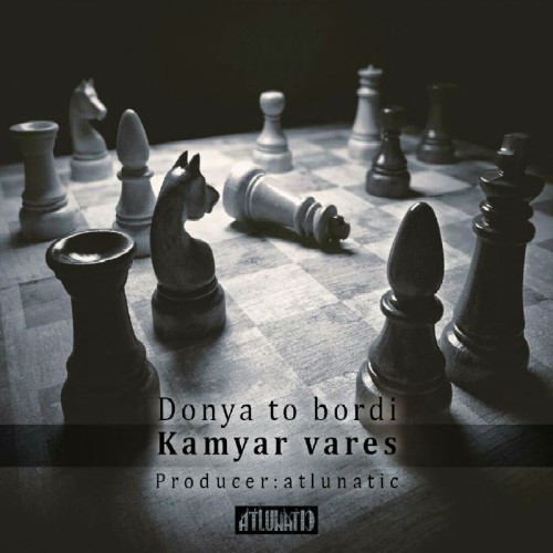 آهنگ دنیا تو بردی از وارث